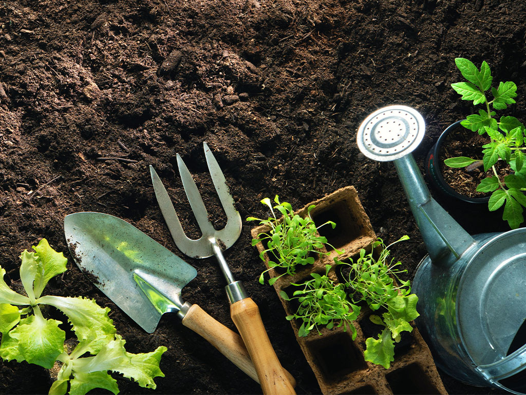 Image of tools & plants on a plant bed.