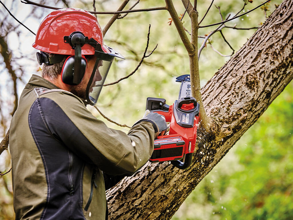 A man sawing off a thin branch with the help of the Einhell top-handled cordless chainsaw.