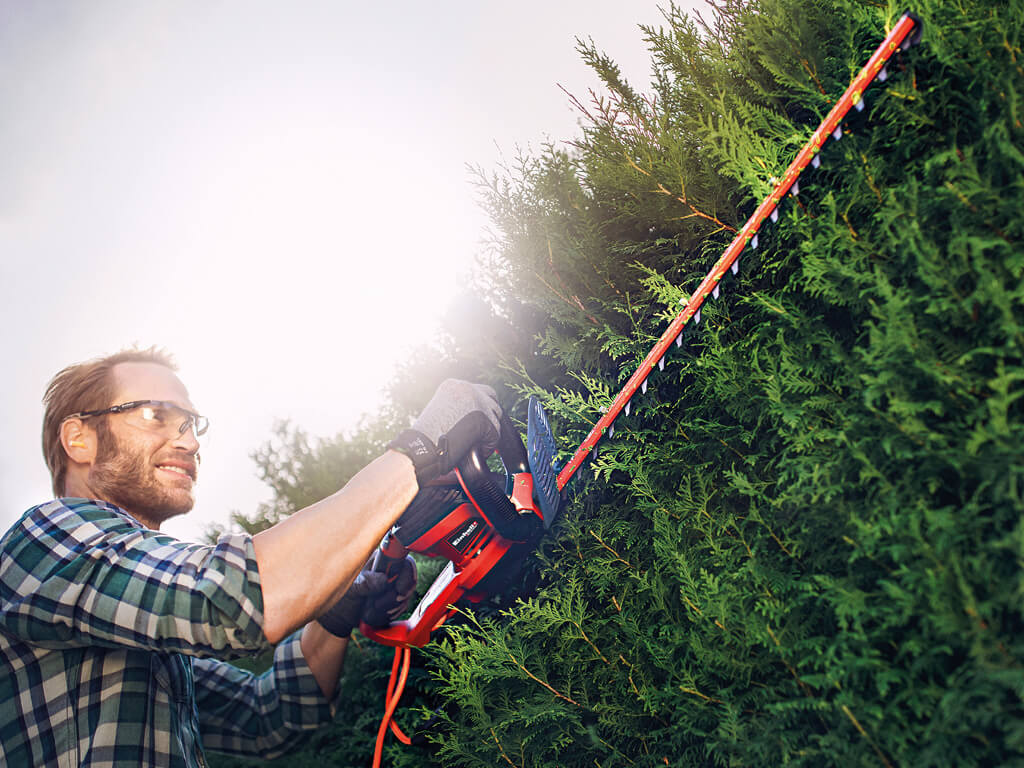 A man cuts the hedge with an Einhell fence saw