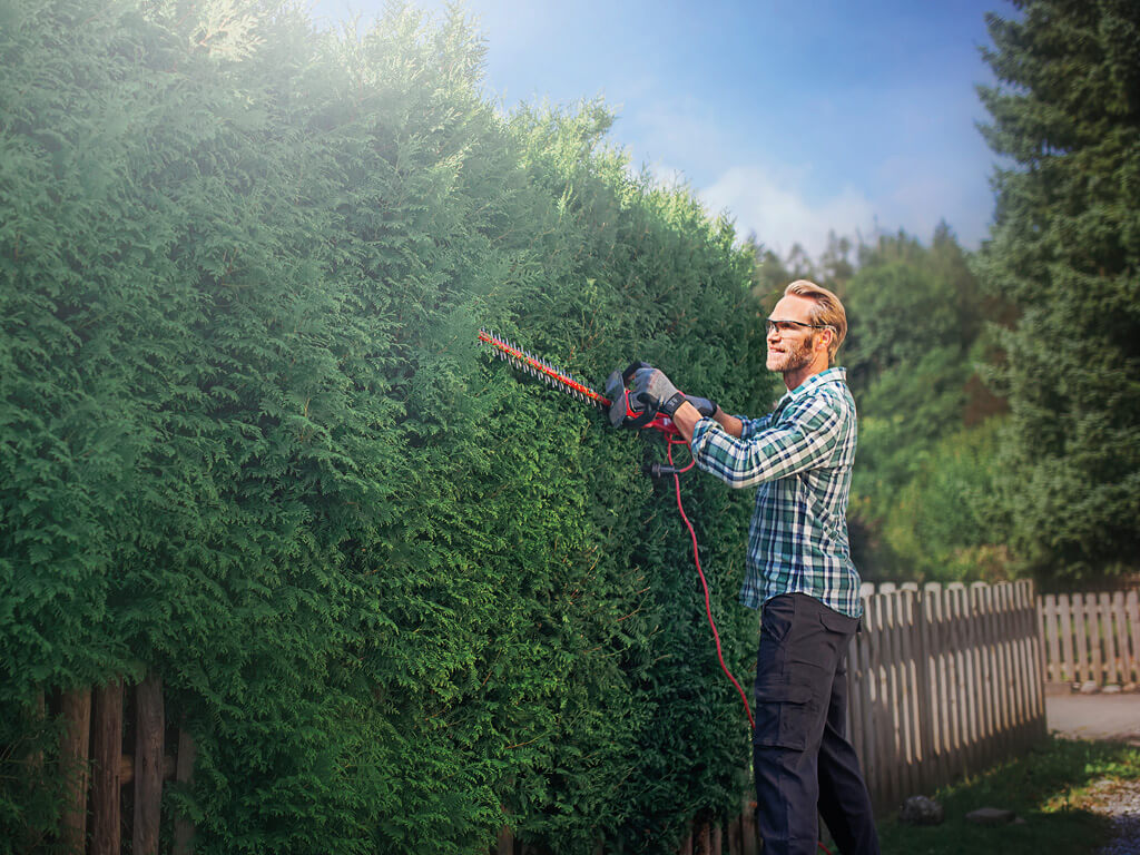 A man cuts the hedge with an Einhell cordless fence saw