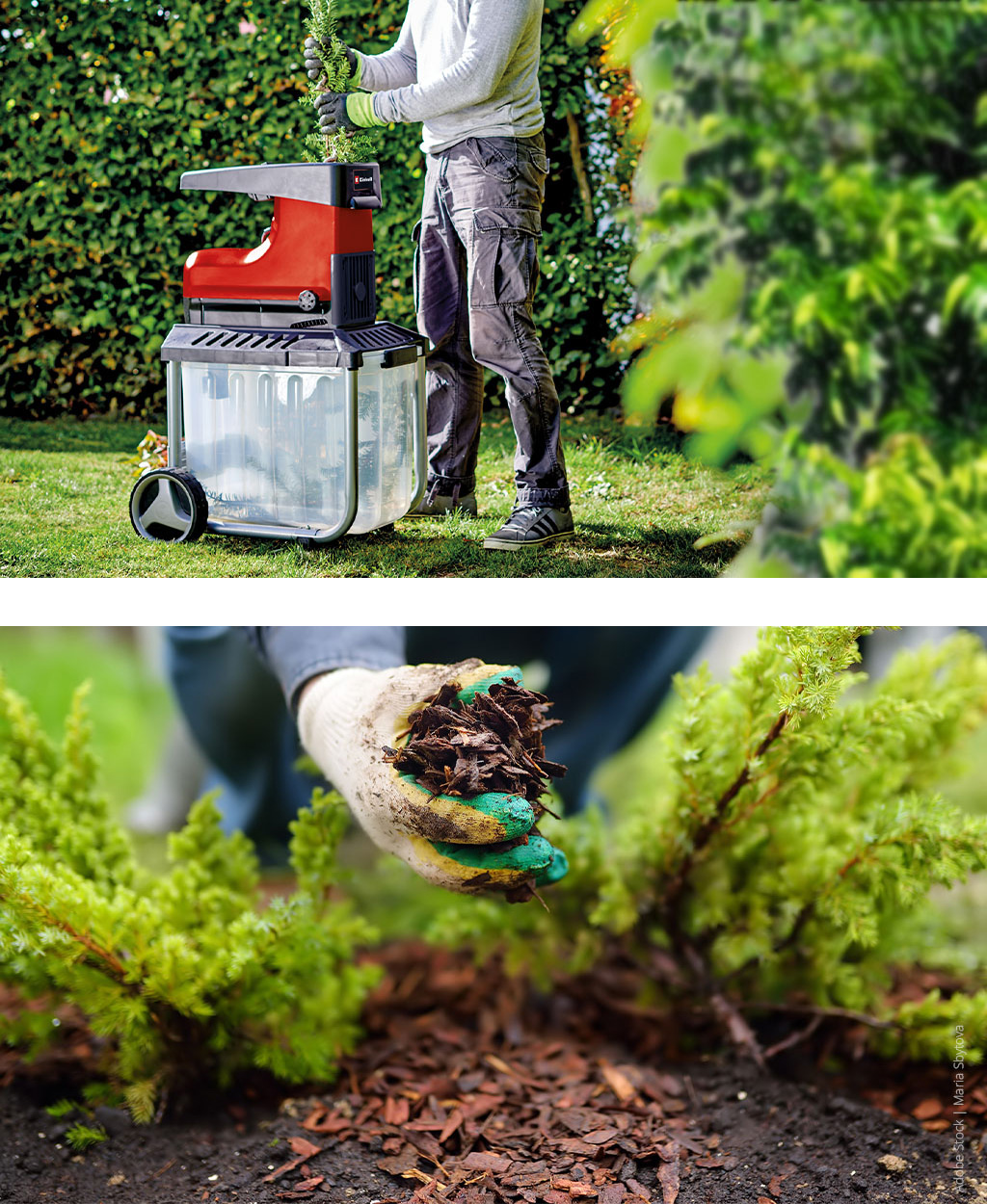 man chops branches with einhell shredder and mulches soil in bed