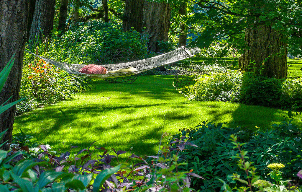 Image of a garden with a hammock.