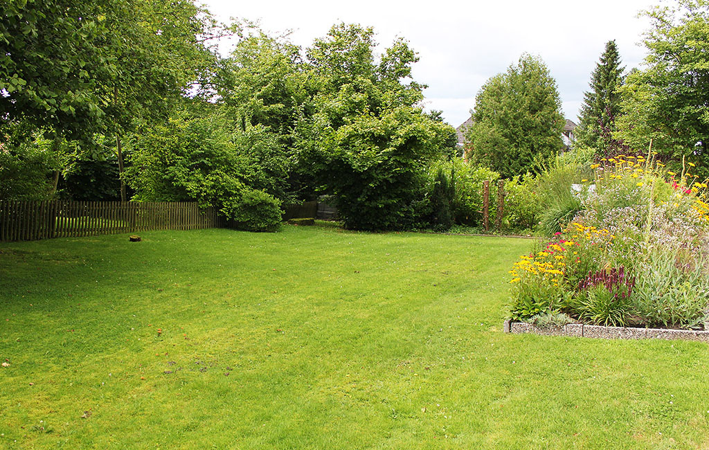 Image of a garden. 
