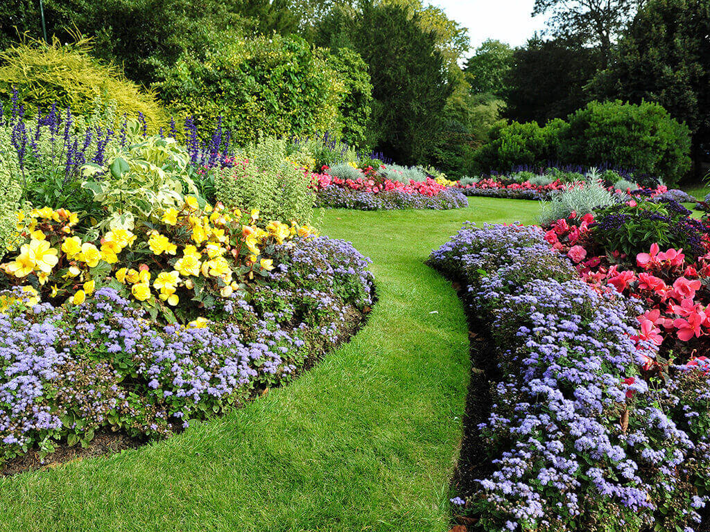 Image of a garden full of flowers. 