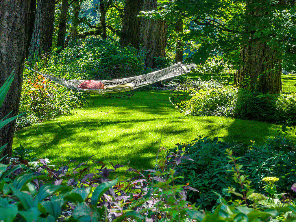 Image of a garden. 
