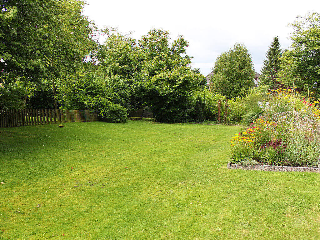 Image of a garden. 
