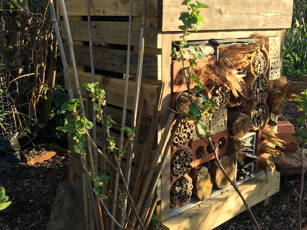 End result of the self-made wildlife home.
