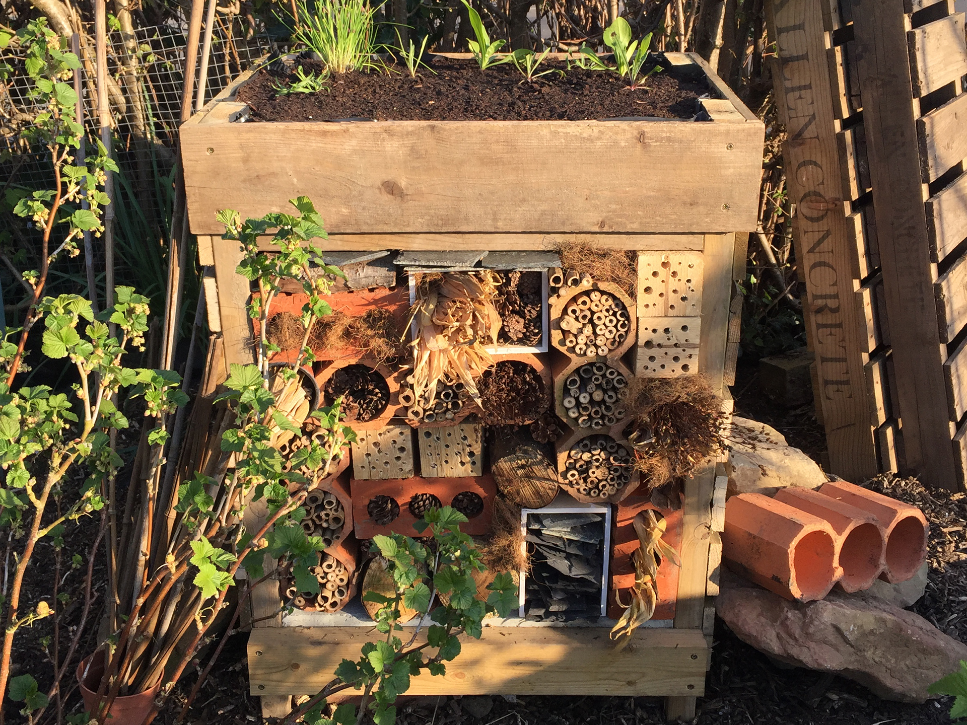 End result of the wildlife home. 