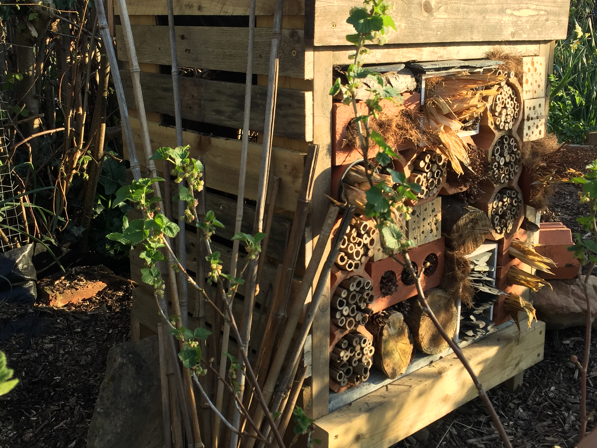 End result of the wildlife home. 
