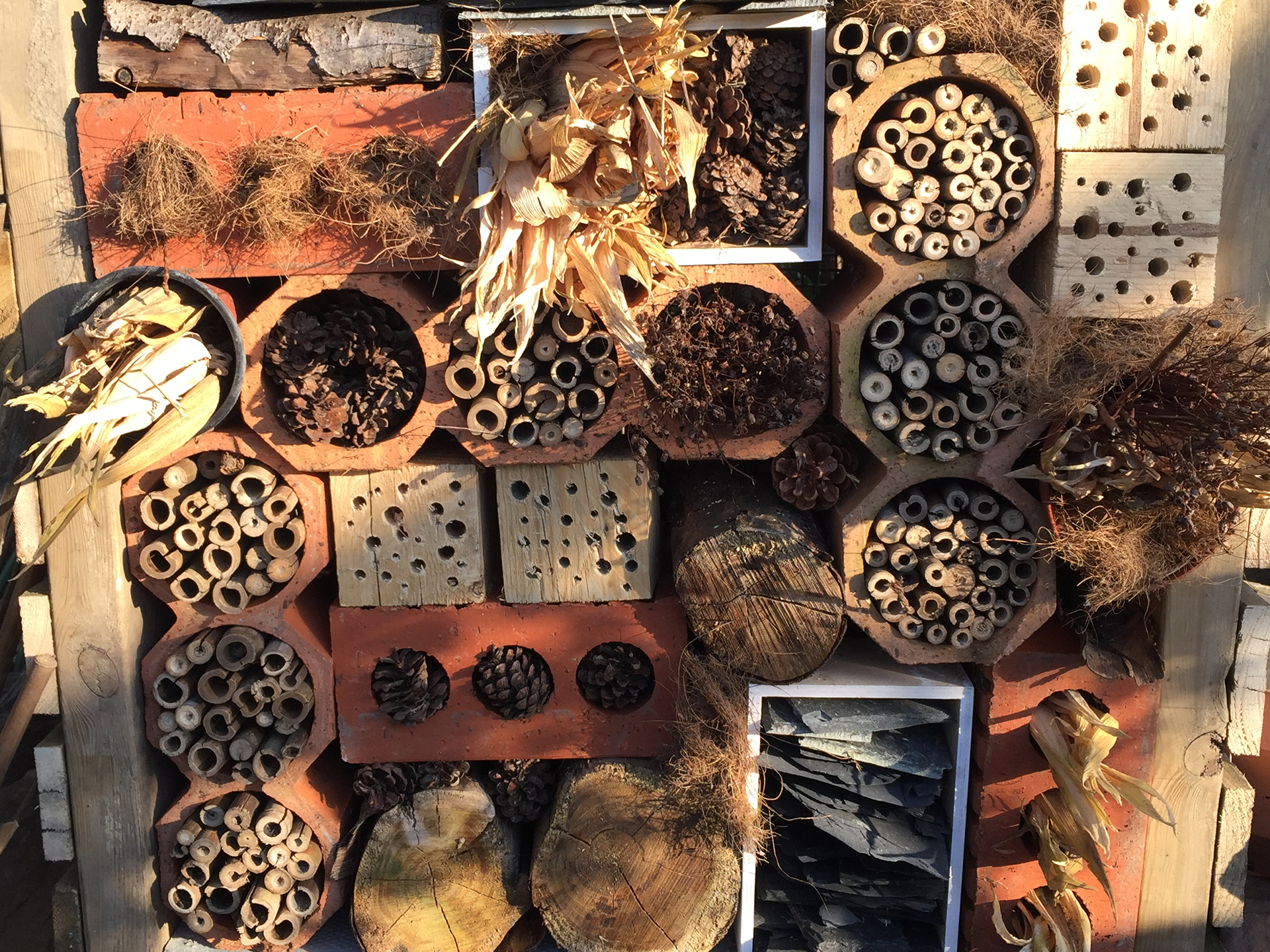 End result of the wildlife home. 