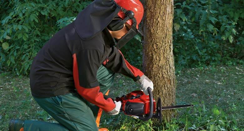 man cutting tree with petrol chainsaw