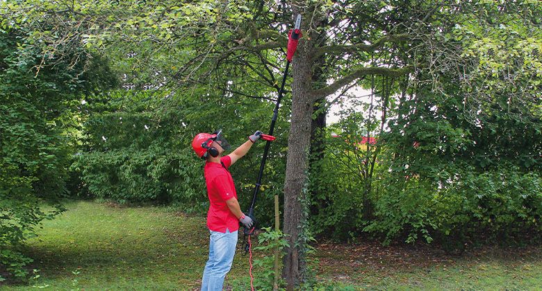 man cutting branches with pole saw